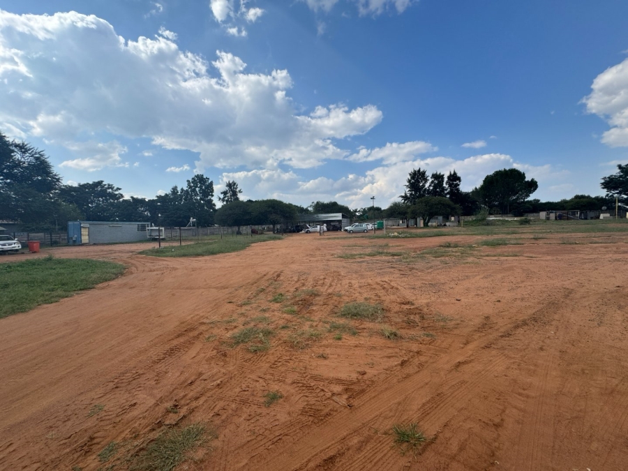 To Let commercial Property for Rent in Ivydale A H Limpopo