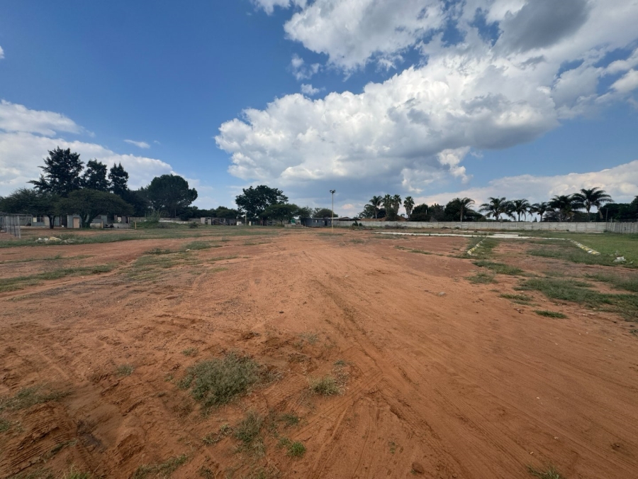 To Let commercial Property for Rent in Ivydale A H Limpopo