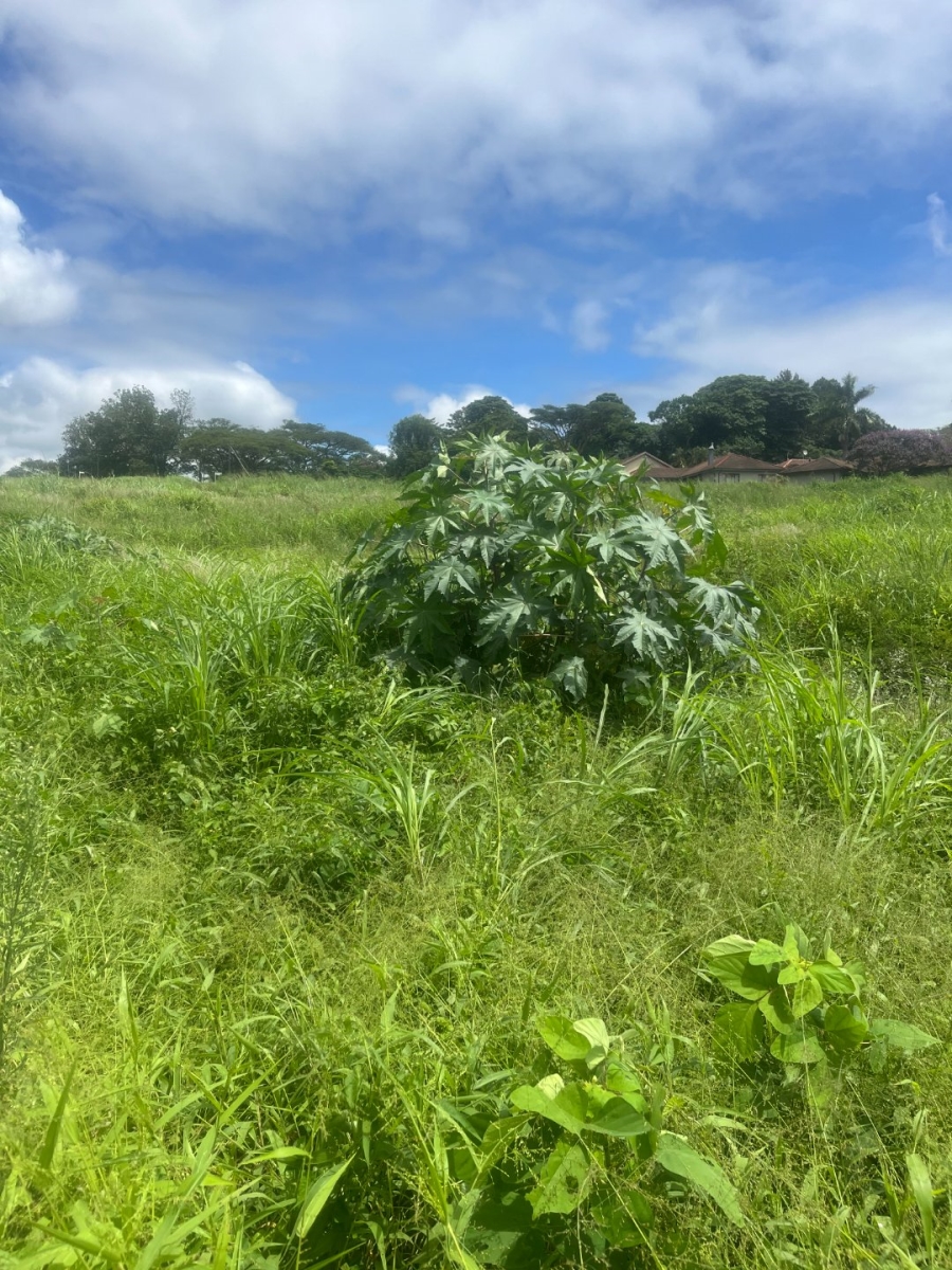 Commercial Property for Sale in Aquapark Limpopo