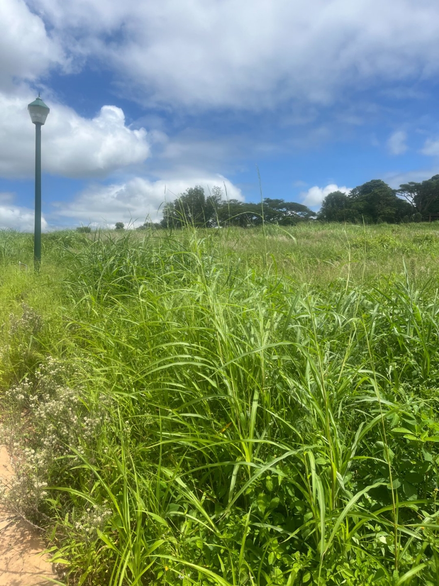 Commercial Property for Sale in Aquapark Limpopo