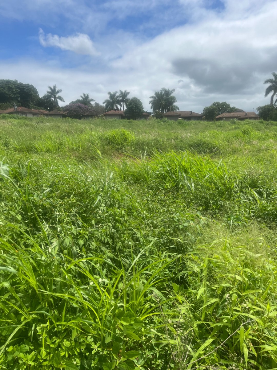 Commercial Property for Sale in Aquapark Limpopo