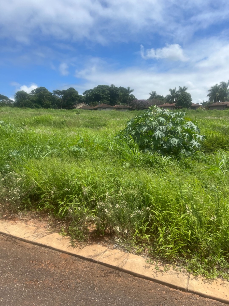 Commercial Property for Sale in Aquapark Limpopo