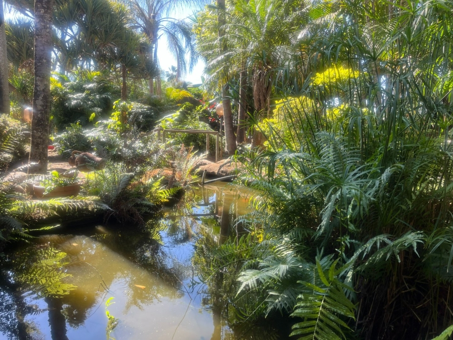 5 Bedroom Property for Sale in Aquapark Limpopo