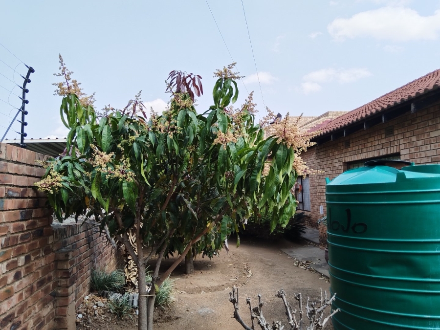 4 Bedroom Property for Sale in Seshego Limpopo