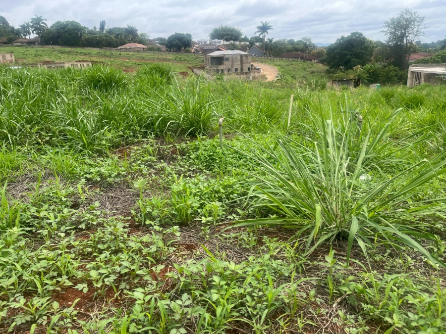 Commercial Property for Sale in Matumi Park Limpopo