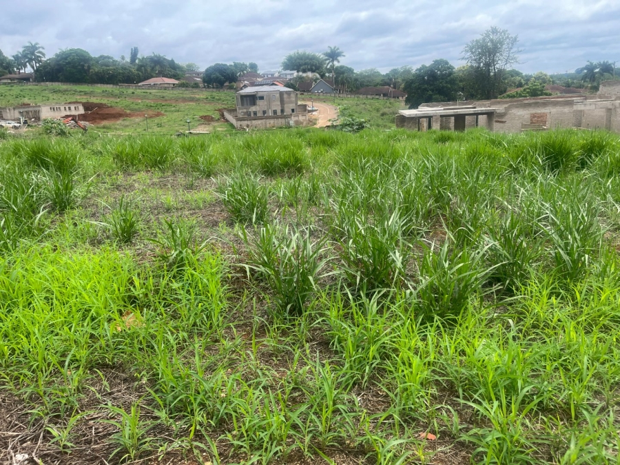 Commercial Property for Sale in Matumi Park Limpopo