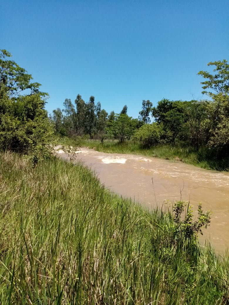 Commercial Property for Sale in Vaalwater Limpopo