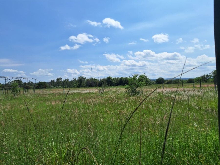 Commercial Property for Sale in Vaalwater Limpopo