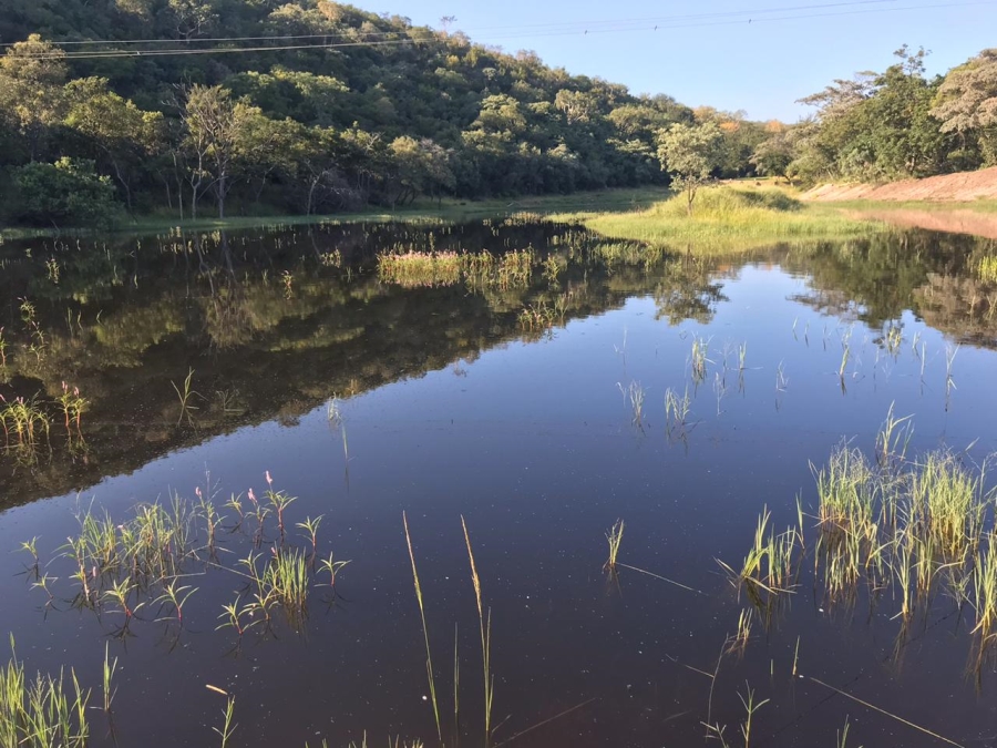 Commercial Property for Sale in Beauty Limpopo