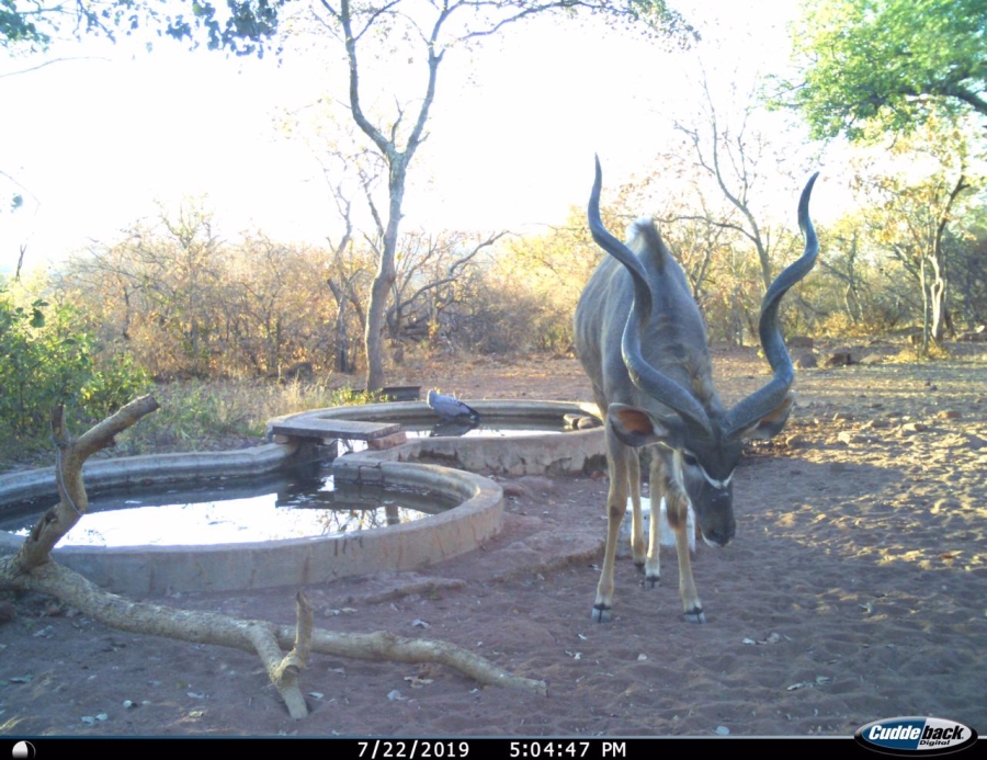 Commercial Property for Sale in Beauty Limpopo