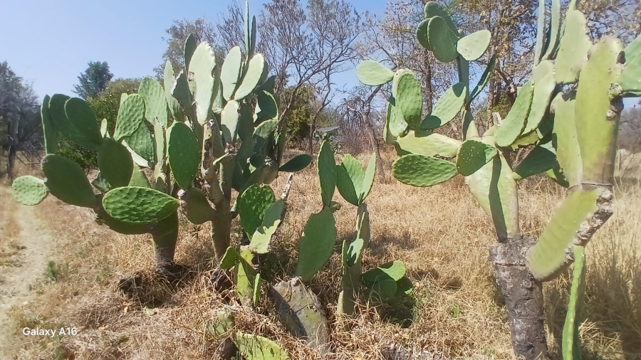 Commercial Property for Sale in Vaalwater Limpopo