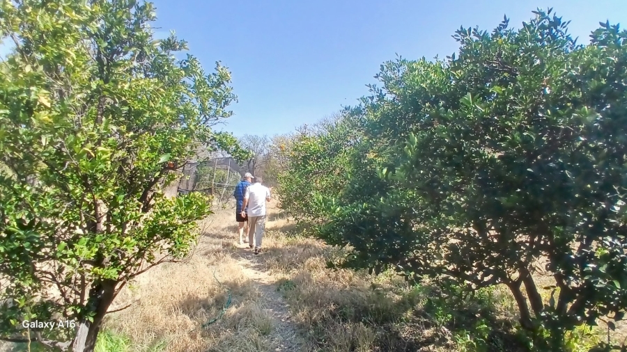 Commercial Property for Sale in Vaalwater Limpopo