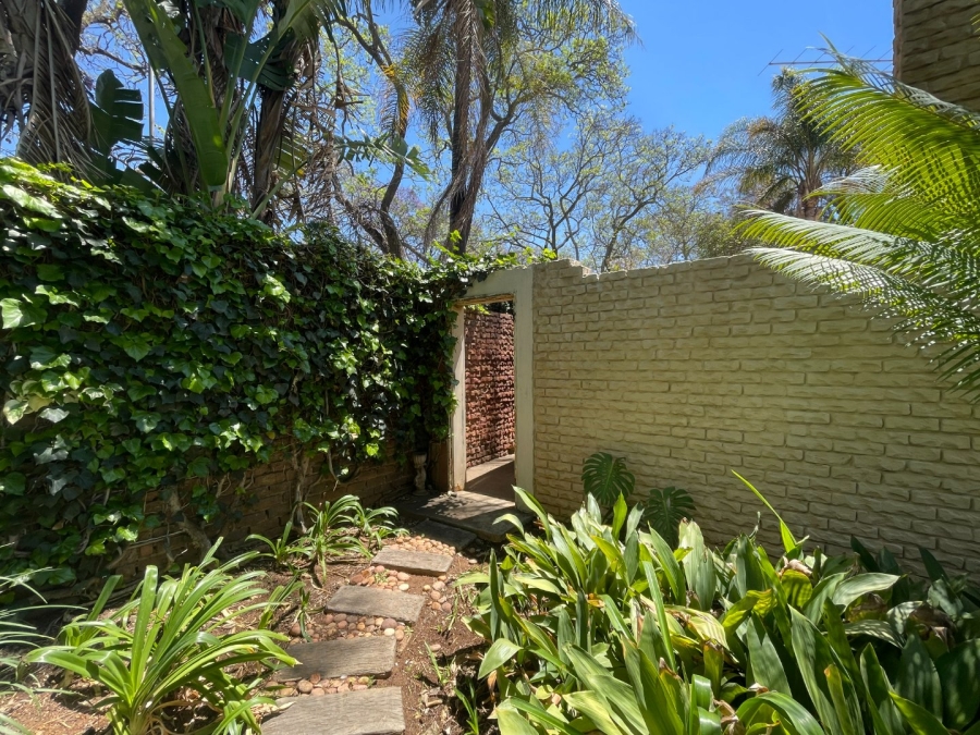 To Let commercial Property for Rent in Polokwane Central Limpopo