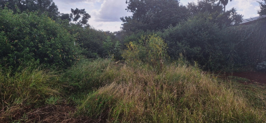 Commercial Property for Sale in Impala Park Limpopo