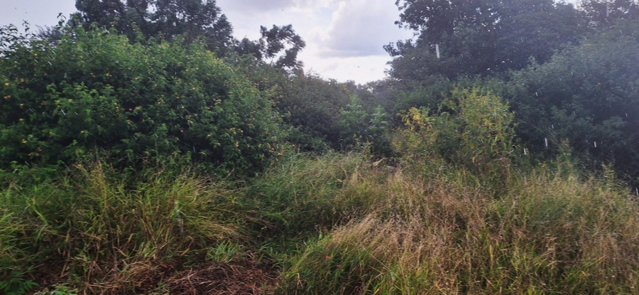 Commercial Property for Sale in Impala Park Limpopo