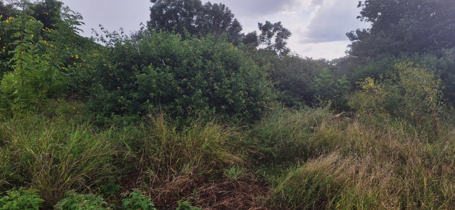 Commercial Property for Sale in Impala Park Limpopo