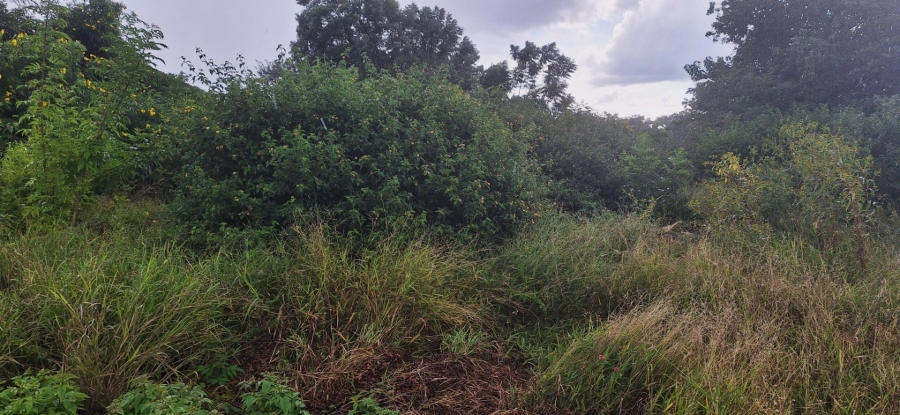 Commercial Property for Sale in Impala Park Limpopo