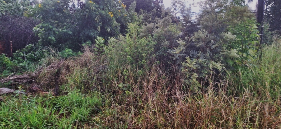 Commercial Property for Sale in Impala Park Limpopo