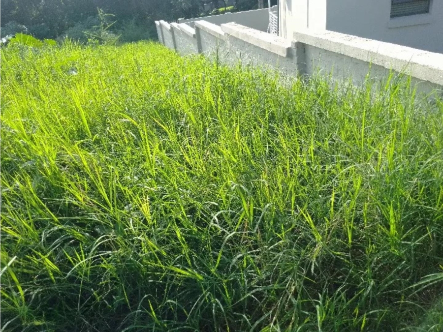 Commercial Property for Sale in Golden Acres Estate Limpopo