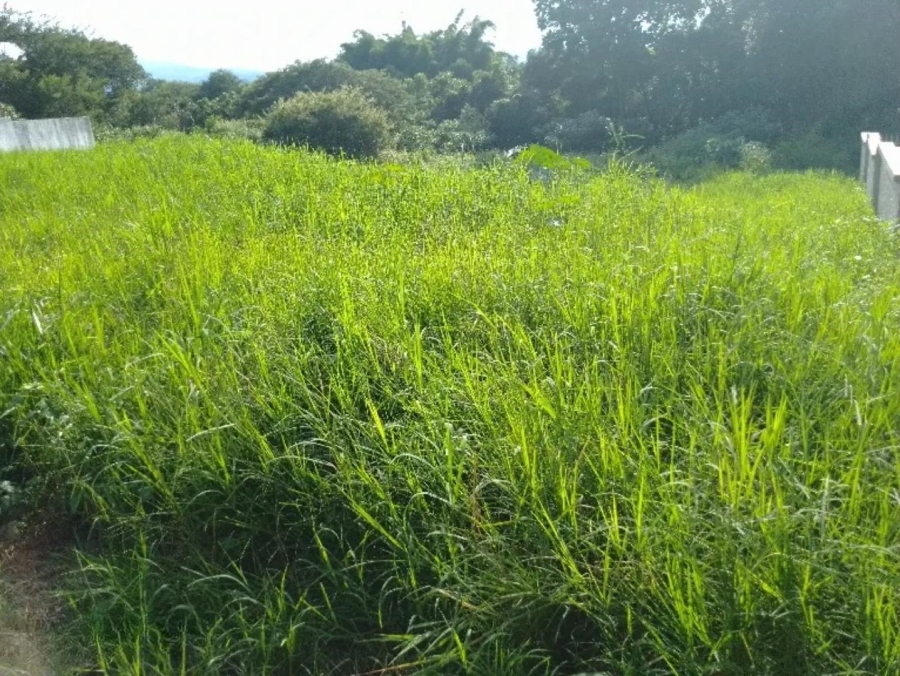 Commercial Property for Sale in Golden Acres Estate Limpopo