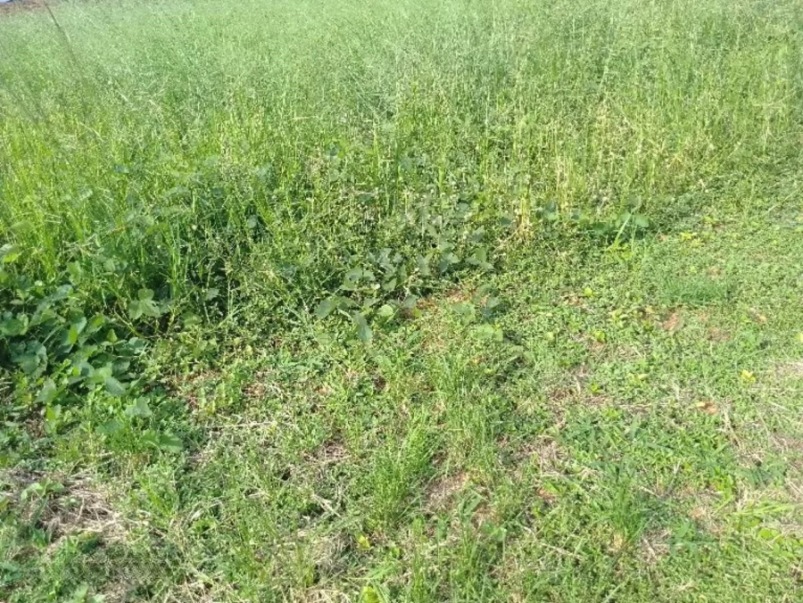 Commercial Property for Sale in Golden Acres Estate Limpopo