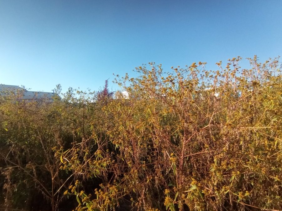 Commercial Property for Sale in Magna Via Industrial Limpopo