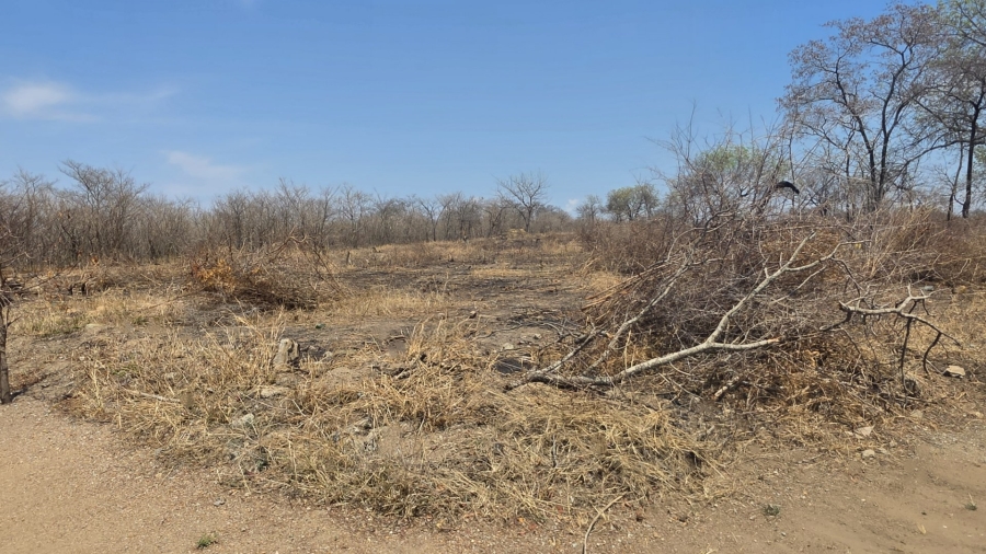 Commercial Property for Sale in Tzaneen Rural Limpopo