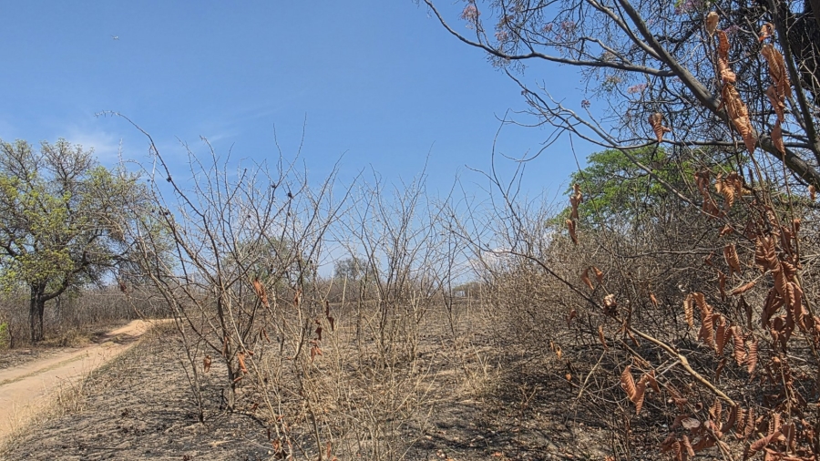 Commercial Property for Sale in Tzaneen Rural Limpopo