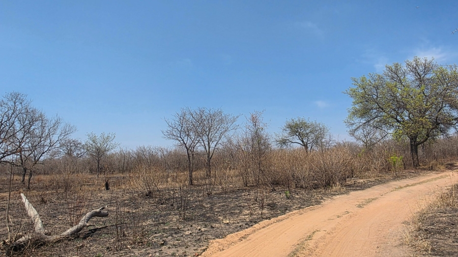 Commercial Property for Sale in Tzaneen Rural Limpopo