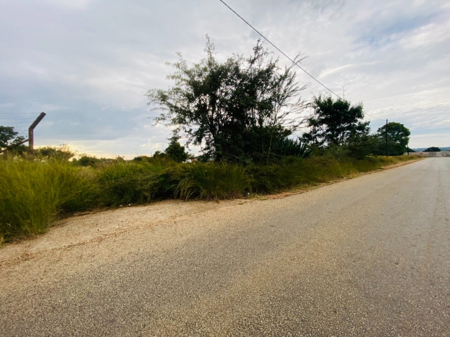 Commercial Property for Sale in Ivydale A H Limpopo
