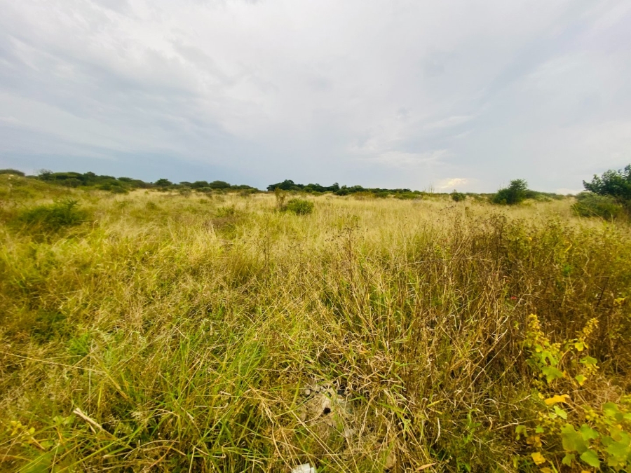 Commercial Property for Sale in Ivydale A H Limpopo