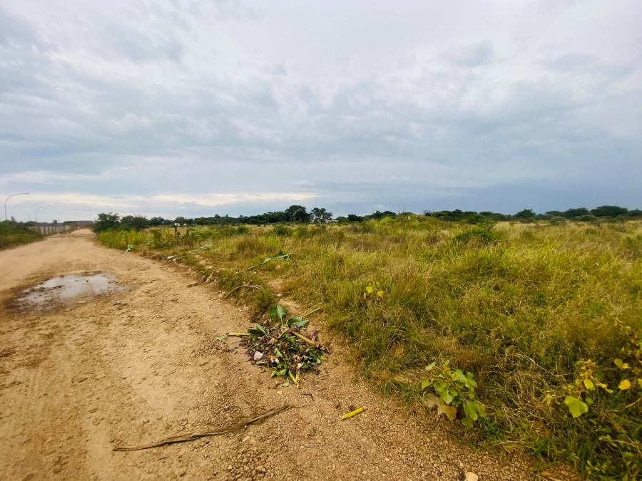 Commercial Property for Sale in Ivydale A H Limpopo
