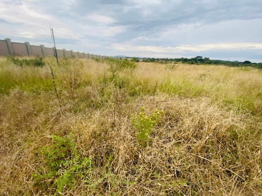 Commercial Property for Sale in Ivydale A H Limpopo