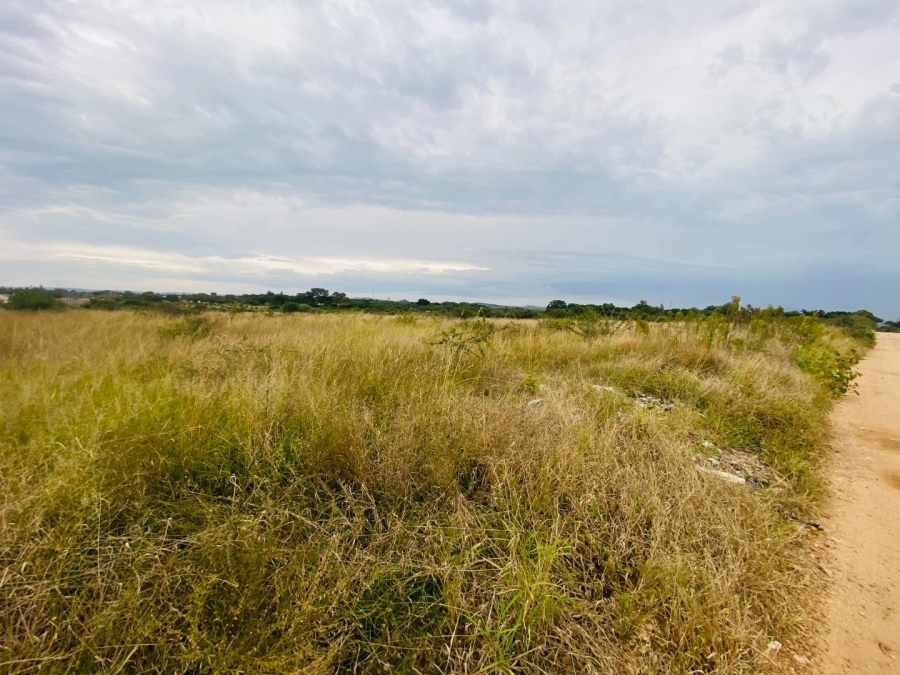 Commercial Property for Sale in Ivydale A H Limpopo