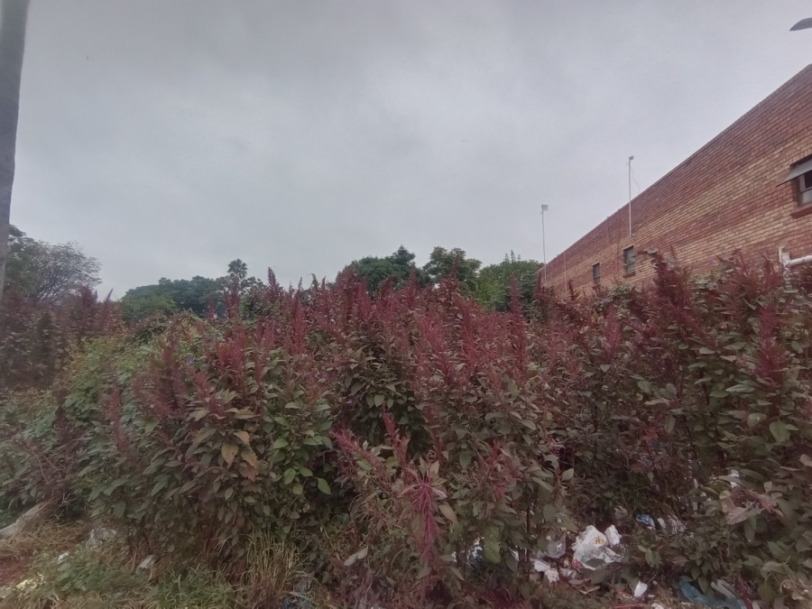 Commercial Property for Sale in Polokwane Central Limpopo