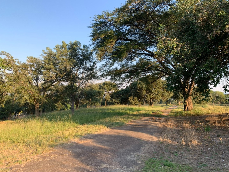 Commercial Property for Sale in Tzaneen Rural Limpopo