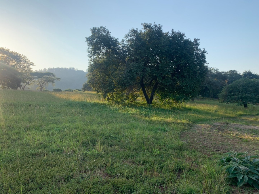 Commercial Property for Sale in Tzaneen Rural Limpopo