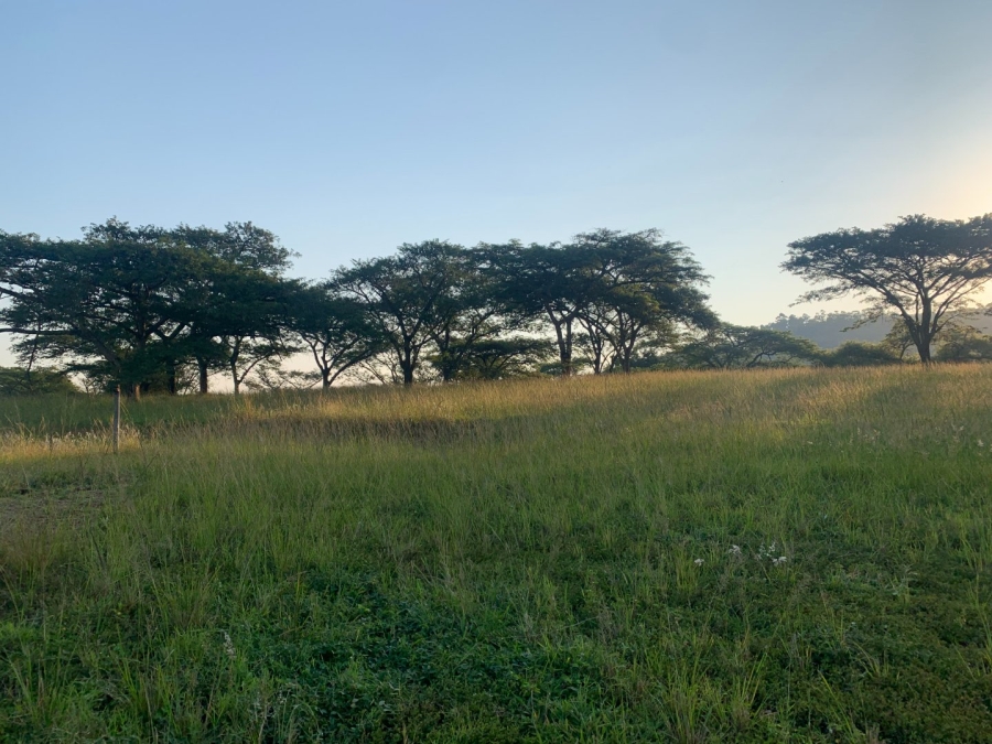 Commercial Property for Sale in Tzaneen Rural Limpopo