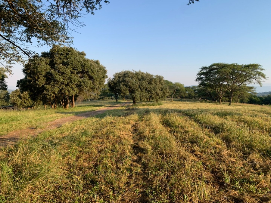 Commercial Property for Sale in Tzaneen Rural Limpopo