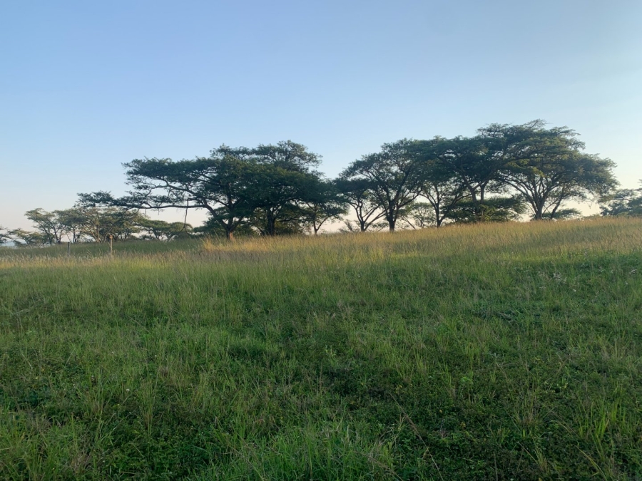 Commercial Property for Sale in Tzaneen Rural Limpopo