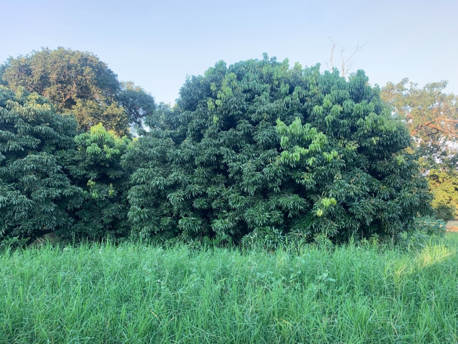 Commercial Property for Sale in Tzaneen Rural Limpopo