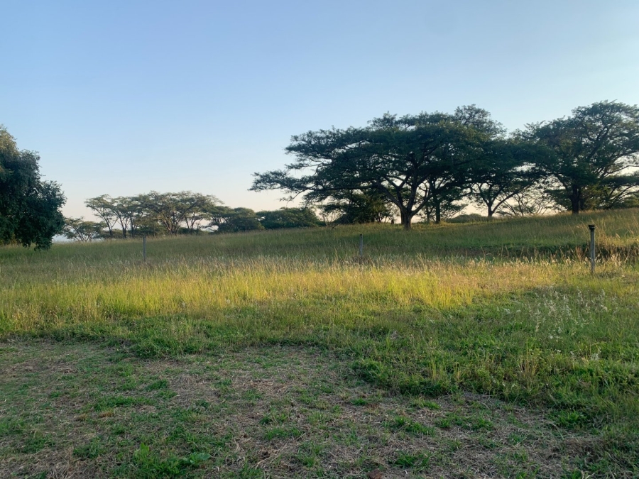 Commercial Property for Sale in Tzaneen Rural Limpopo