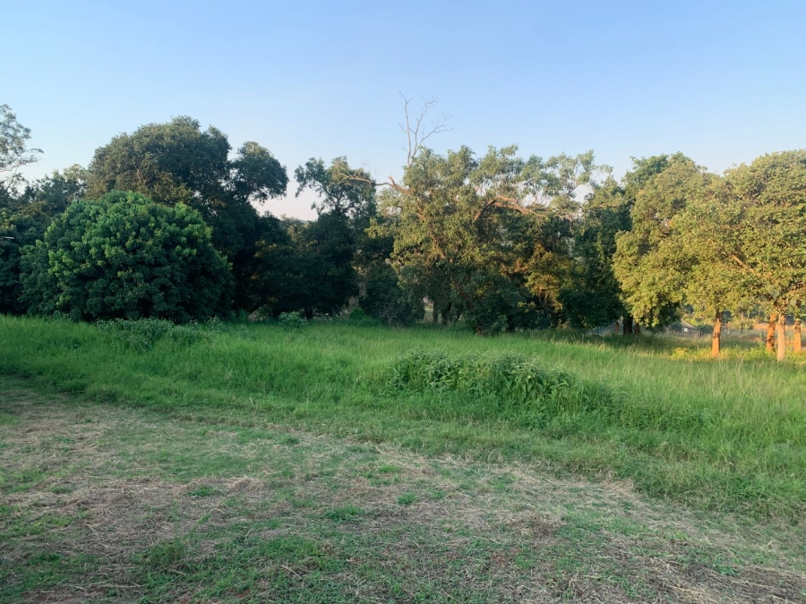Commercial Property for Sale in Tzaneen Rural Limpopo