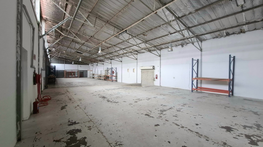 To Let Commercial Property for Rent in Polokwane Central Limpopo