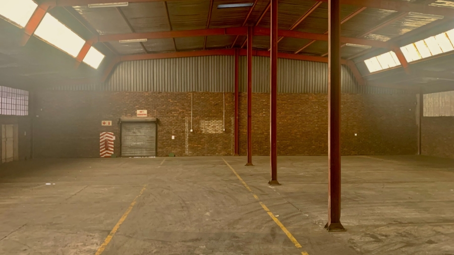 To Let Commercial Property for Rent in Laboria Limpopo