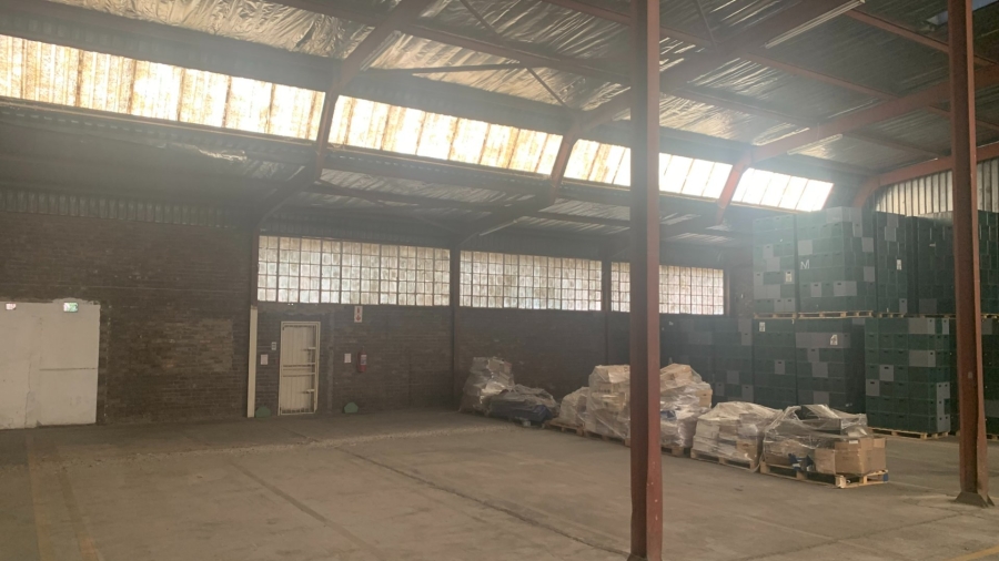 To Let Commercial Property for Rent in Laboria Limpopo