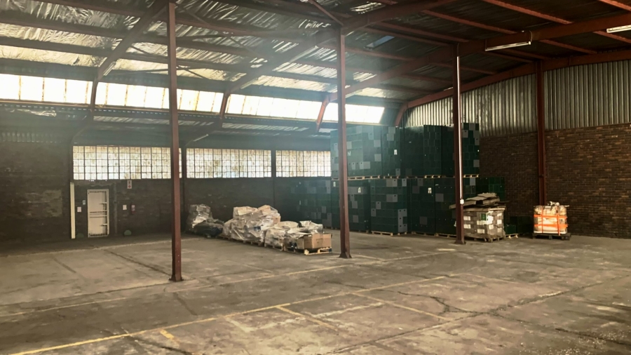 To Let Commercial Property for Rent in Laboria Limpopo