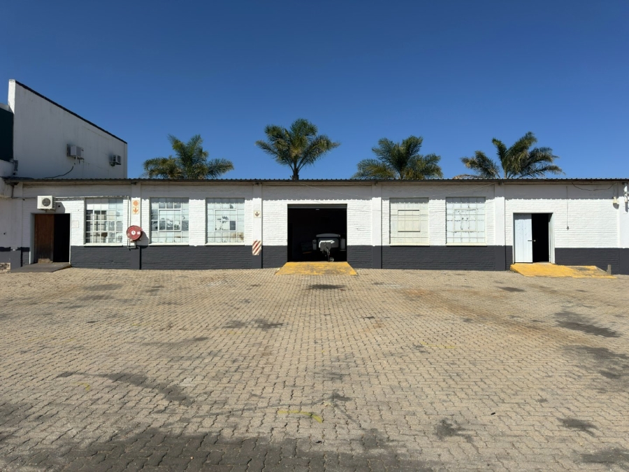 To Let Commercial Property for Rent in Laboria Limpopo