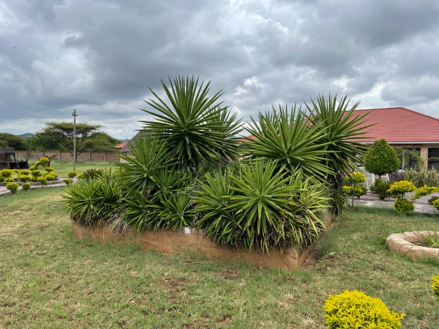 Commercial Property for Sale in Palmietfontein Limpopo