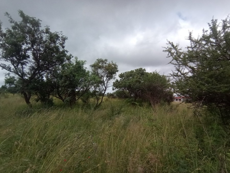Commercial Property for Sale in Modimolle Rural Limpopo